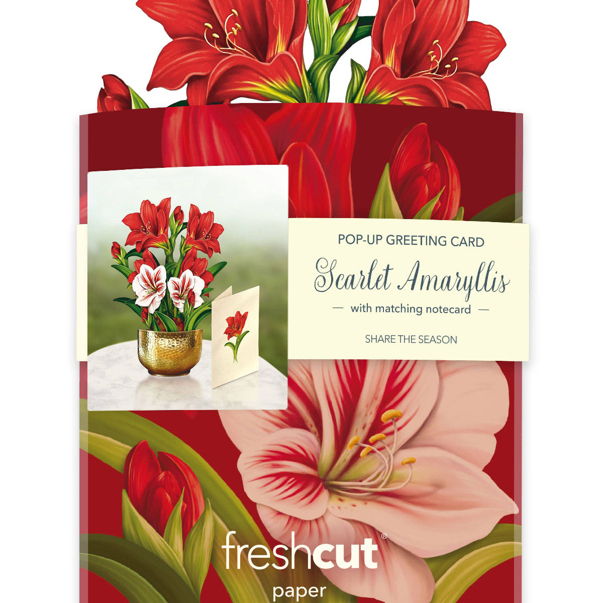 Pop-up greeting card with red amaryllis flowers and matching notecard by freshcut paper.
