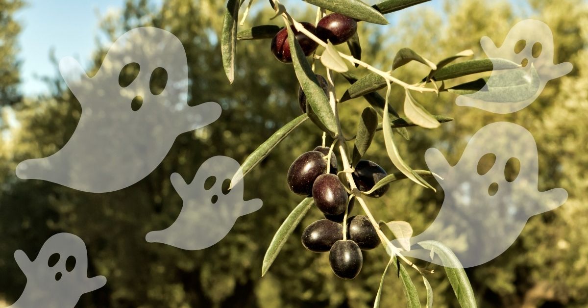 5 Bewitching Health Benefits of Olive Oil: The Ultimate Elixir for a Hauntingly Healthy Halloween