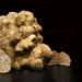 photo of white truffle