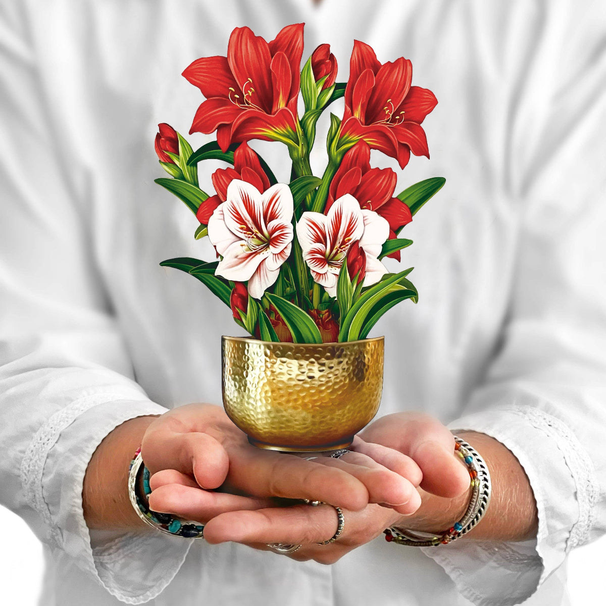 Person holding a small gold pot with red and white flowers against a white background