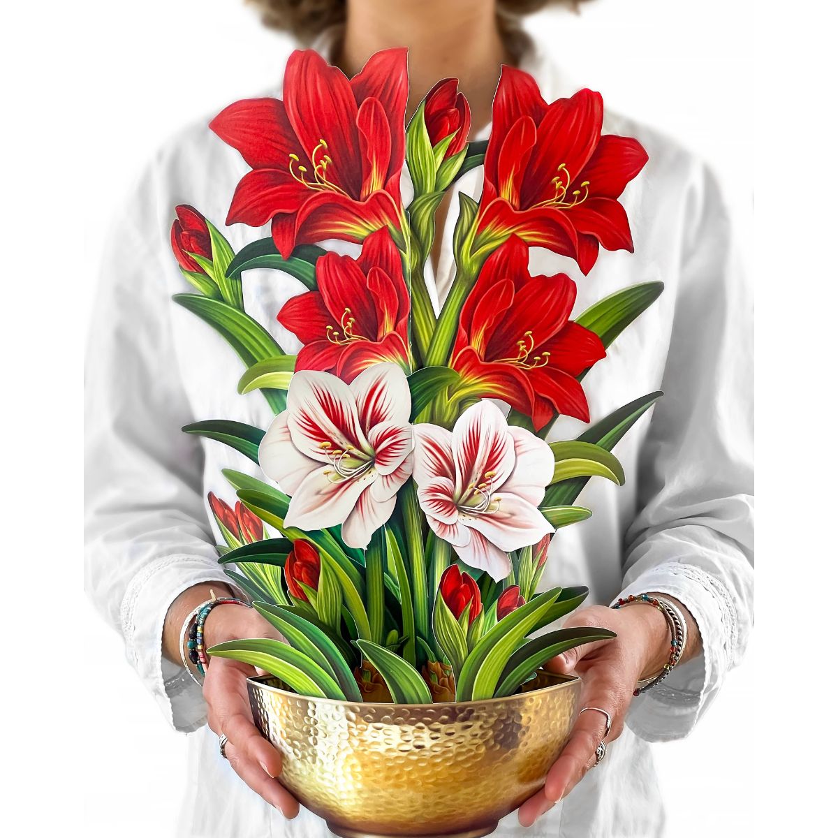 Scarlet Amaryllis Pop-up Greeting Cards- Olive and Basket