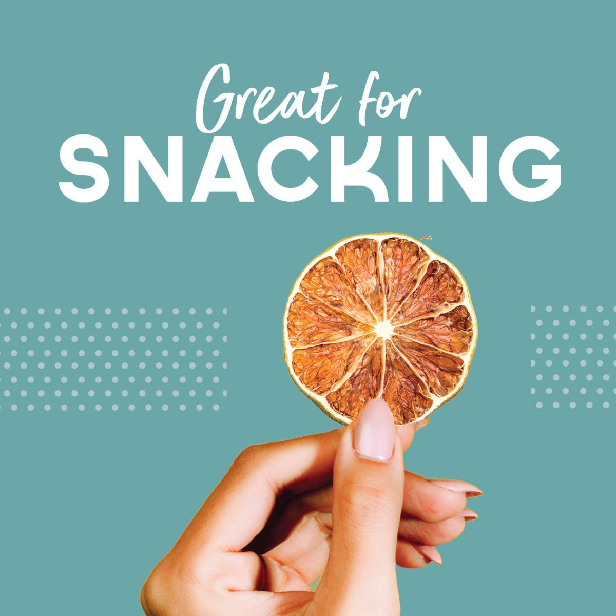 Lime Dehydrated Wheels- Perfect for your next mocktail